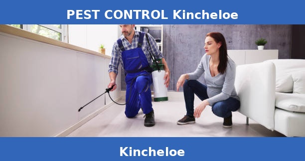 PEST CONTROL Kincheloe